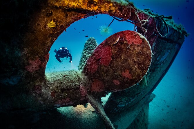 2 Scuba Fun Dives for Certified divers in St Paul's Bay - Key highlights to know before you go