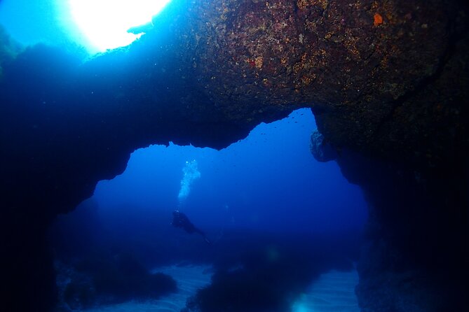 2 Scuba Fun Dives for Certified divers in St Paul's Bay - Timing, sea conditions, and why peak months can feel louder