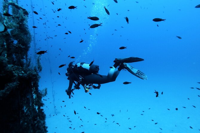 2 Scuba Fun Dives for Certified divers in St Paul's Bay - Meeting point and the air-conditioned transfer that makes mornings easier