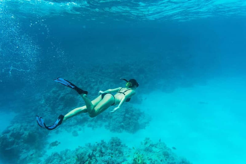 Comino: Blue Lagoon, Crystal Lagoon and Sea Caves Boat Tour - Should you book this Comino Blue Lagoon and Crystal Lagoon tour?