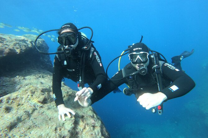 Diving experience in Malta - Price and value: what $132.45 gets you in Malta