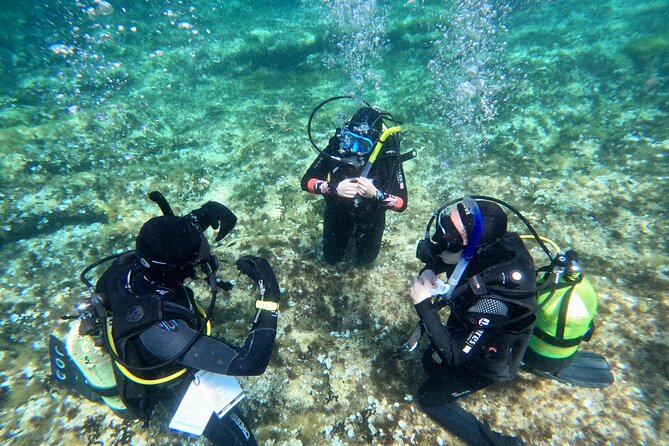 Diving experience in Malta - Getting started at Ramla Bay Resort, then heading for Cirkewwa