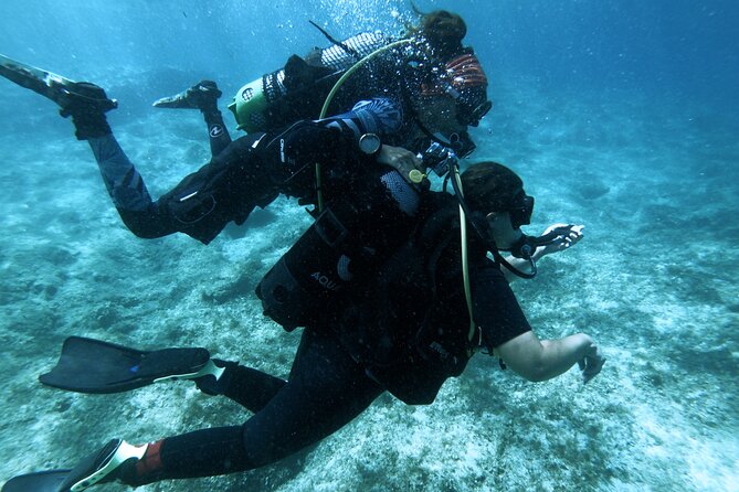 First Experience Scuba Diving - Who this works best for (and who should think twice)