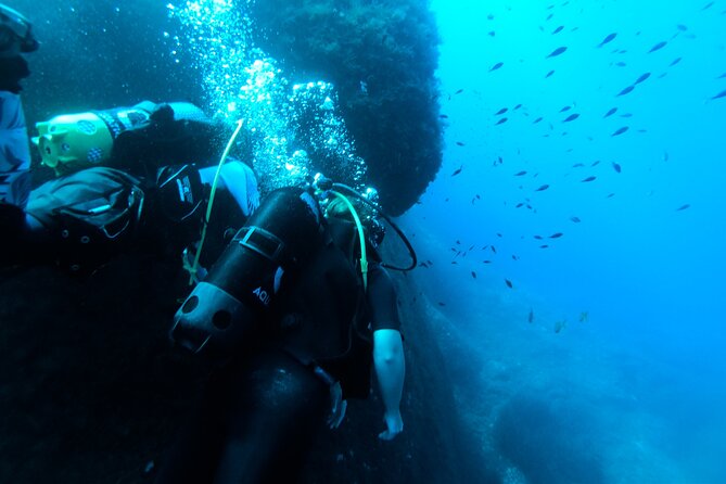 First Experience Scuba Diving - Before you get in: the online work that actually pays off