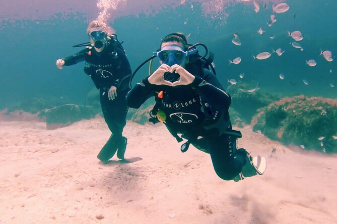 First scuba diving experience with instructor - Malta - Equipment, Insurance, and What’s Actually Included