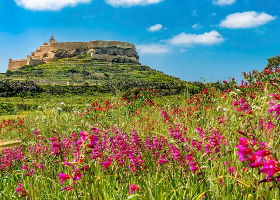 From Malta: Gozo Full-Day Tour with Guide, Temples, & Train - A day on Gozo starts fast: pickup, ferry, and staying on schedule