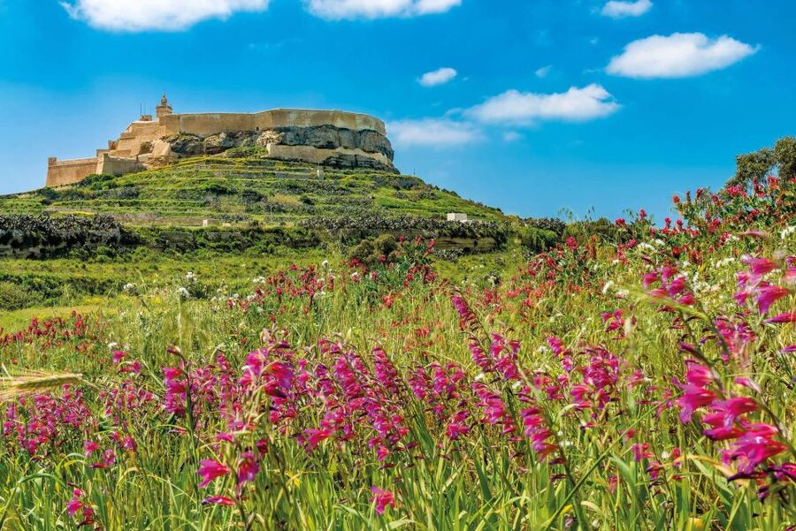 From Sliema: Gozo, Comino & The Blue Lagoon Boat & Bus Tour - The Comino Caves on the Return to Sliema