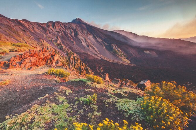 Full Day Sicily Tour from Malta. Visit Mt Etna and Syracuse - Key Things To Know Before You Go