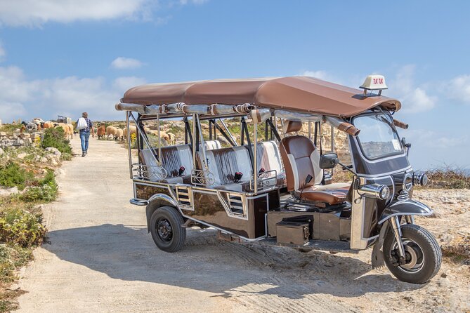 Gozo All Inclusive Chauffeured Tuk Tuk Day Tour - Blue Lagoon - Price and logistics: what $102.79 buys you in real time