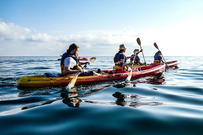 Guided Kayak Tour in St Paul's Island - Price check: what $52.42 gets you (and where the value comes from)