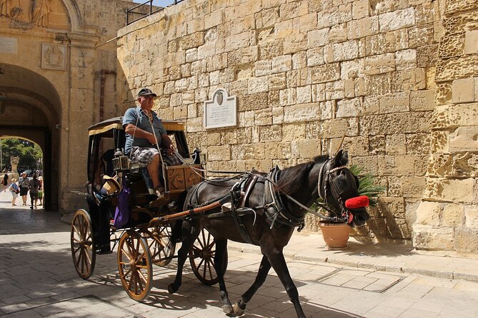 Half Day Shared Tour in Malta - Blue Grotto Il-Hnejja: The Best Stop, Plus the Cash-Only Detail