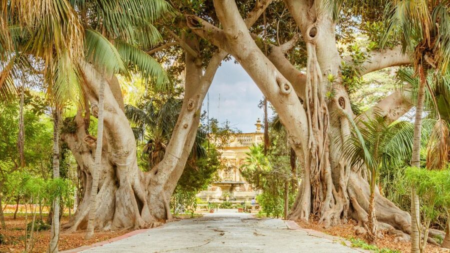 Highlights of Malta Tour:Icons and Experiences of the Island - Key reasons to book