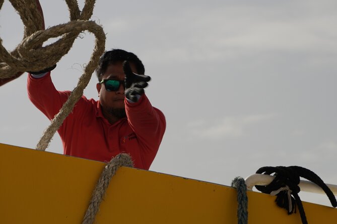 Highspeed Catamaran Crossing Between Malta and Gozo - Food and drinks: plan to buy what you want