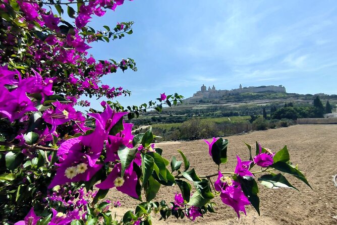 Island Day Tour with a Private Local Driver - Mdina Old City: Walled streets, baroque sparkle, and underground “wow”
