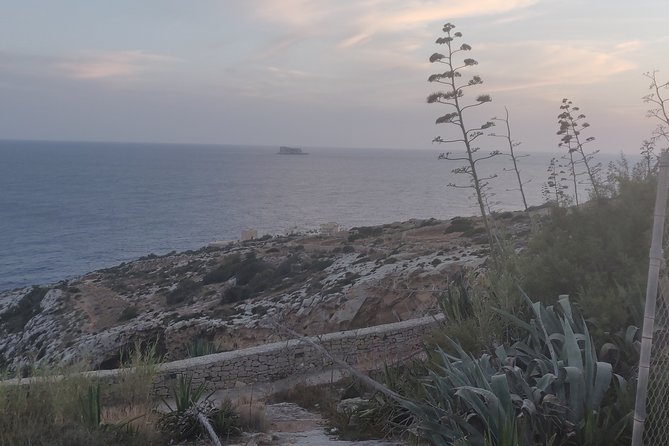 Let's Explore the Maltese Islands! (Half Day Private Group) - Price and what you’re really paying for