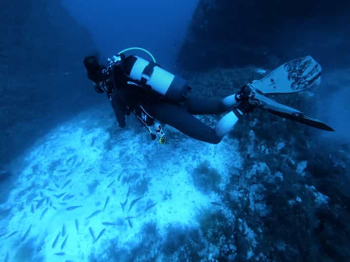 Malta: 2 Scuba Fun Dives for Certified divers - Key things that matter on this Malta plan