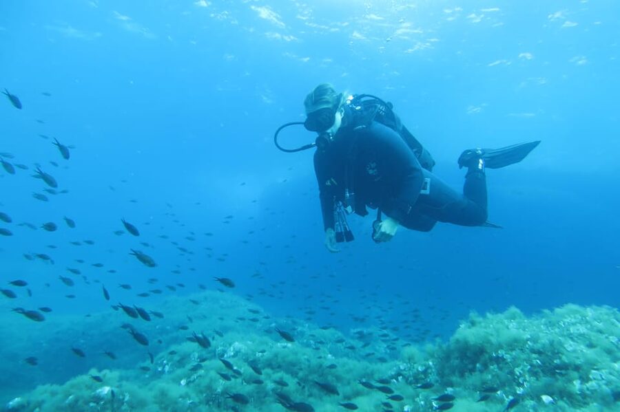 Malta: 2 Scuba Fun Dives for Certified divers - Malta’s water conditions: why certified divers like it here