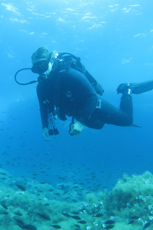 Malta: 2 Scuba Fun Dives for Certified divers - Price and value: what $118 buys you in the real world