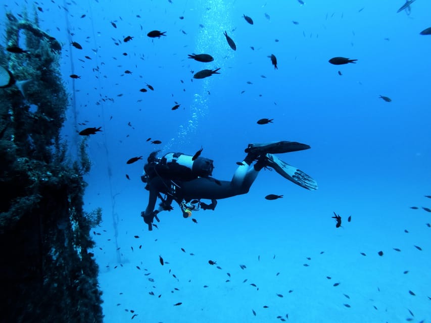 Malta: 2 Scuba Fun Dives for Certified divers - The underwater menu: WWII wrecks, reefs, arches, caves, tunnels