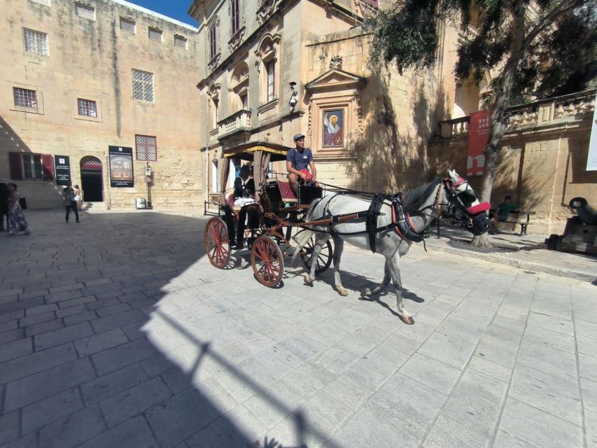 Malta: Ancient Wonders, Coastal Charms, and Cities Tour - Tarxien Temples: the last major prehistoric hit