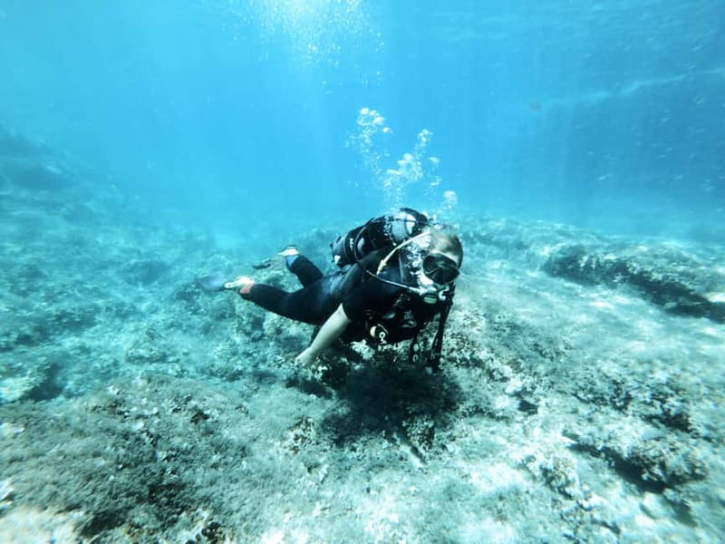 Malta: First Experience Scuba Diving Lesson - Key highlights worth planning around
