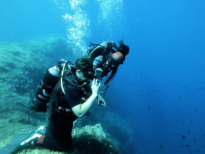 Malta: First Experience Scuba Diving Lesson - Online theory prep: the secret to feeling less overwhelmed