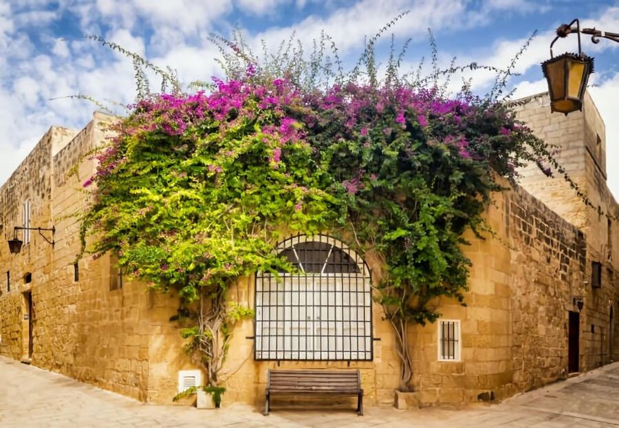 Malta: Mdina, Dingli Cliffs and San Anton Botanical Gardens - Price and value: what $41 buys you in real terms