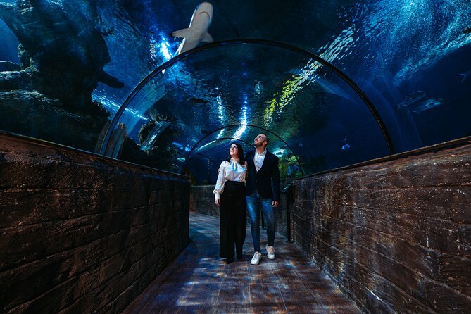 Malta National Aquarium Entrance Ticket - Food, parking, and the extra costs you might forget