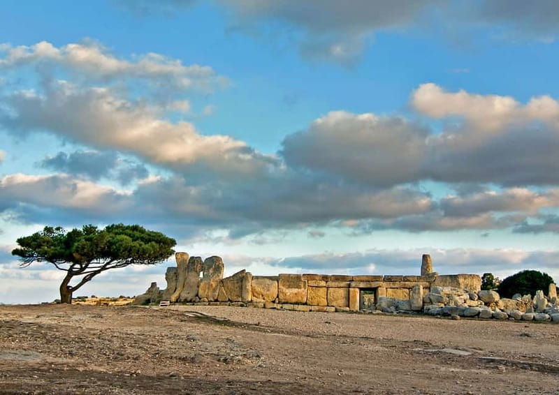 Malta: Private Full-Day Sightseeing Tour - What to plan for on a full day in Malta