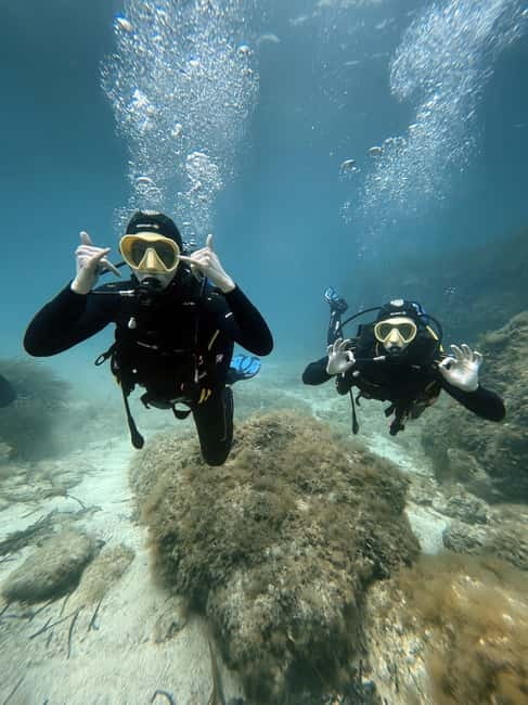 Malte : Baptême de plongée sous-marine en Français - Les points forts qui comptent vraiment