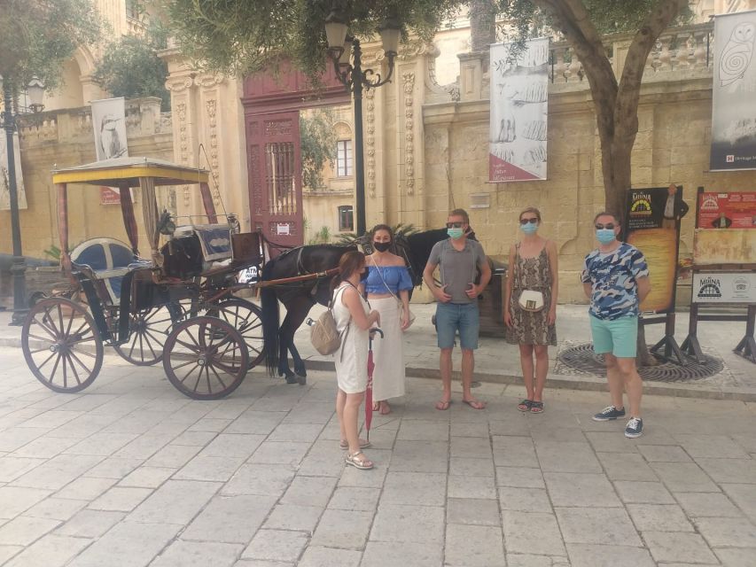 Mdina and Rabat Private Walking Tour with local pastizzi - Who should book this tour