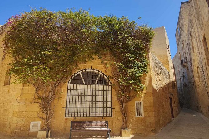 Mdina and Rabat Tour with a local licensed guide - St. Catald Catacombs area: a fitting place to wrap up