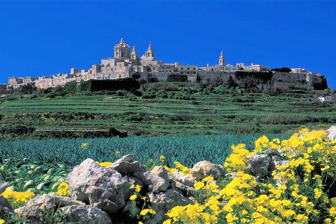 Mdina, Dingli cliffs and San Anton Gardens guided tour - Price and value: is $40.55 a smart deal?