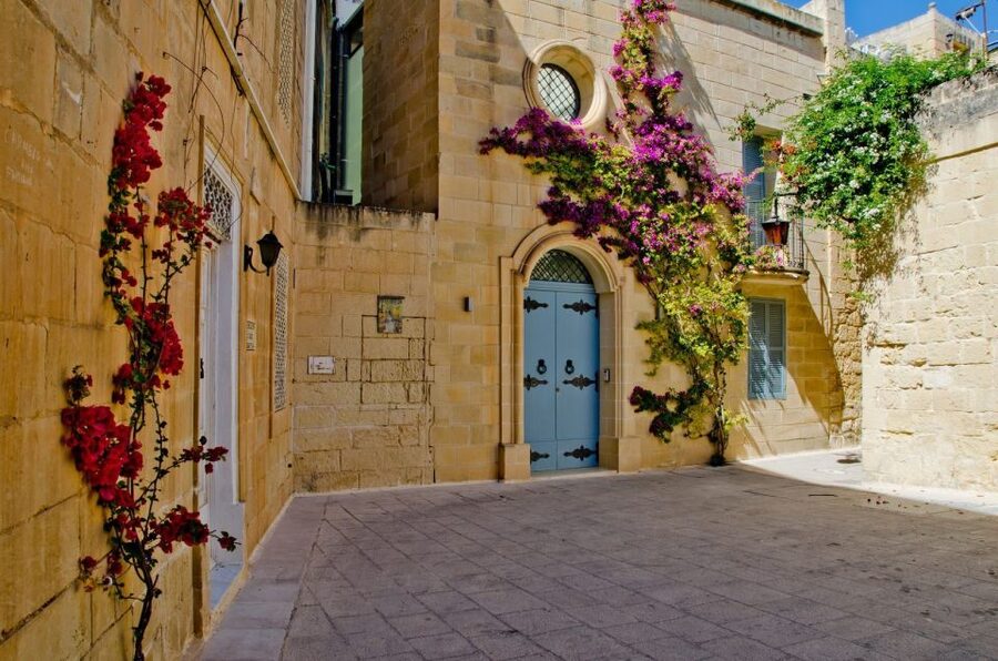 Mdina: Private Historical City Walking Tour with Rabat Town - St. Paul’s Cathedral: the landmark stop with more than postcard value