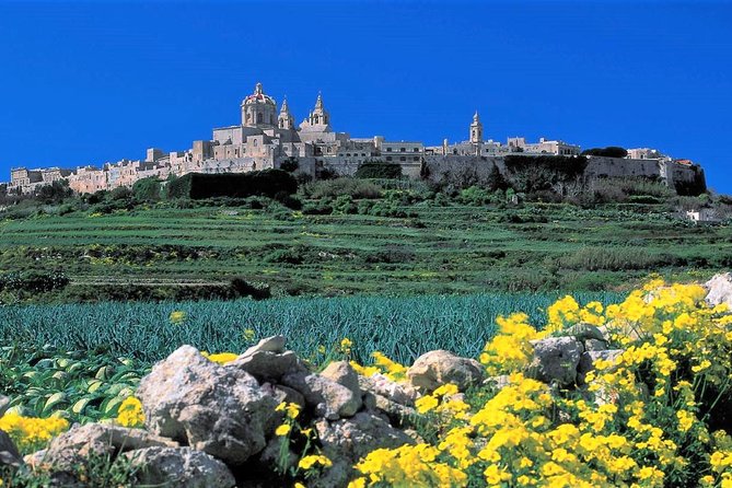 Mdina, Rabat, Dingli cliffs, San Anton gardens, Ta' Qali & Mosta guided tour - Key things that make this tour work