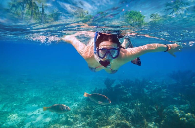 Mellieha: Round Comino, Blue Lagoon & Gozo Cruise with Water - Who Should Book This Cruise
