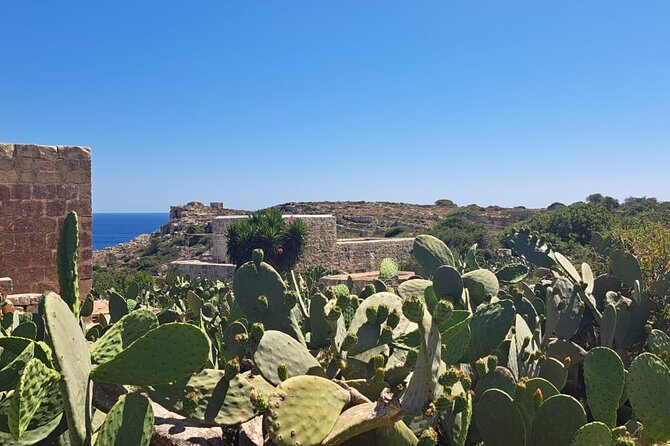 North Malta Quad Bike Tour with Land or Sea Views and Swimming - Armier Bay swimming and how to plan for sea time