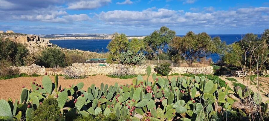 North Malta: Quad Bike Tour with Scenic Land, Sea & Swimming - Armier Bay Swim Break: Optional, Weather-Dependent, and Actually Worth It