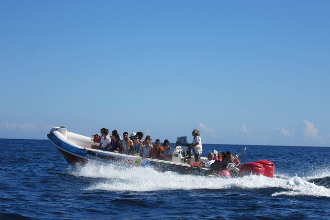 Okikoki Banis - Comino Blue Lagoon Speedboat Trip- Fast Ferry - Key Highlights You’ll Actually Care About