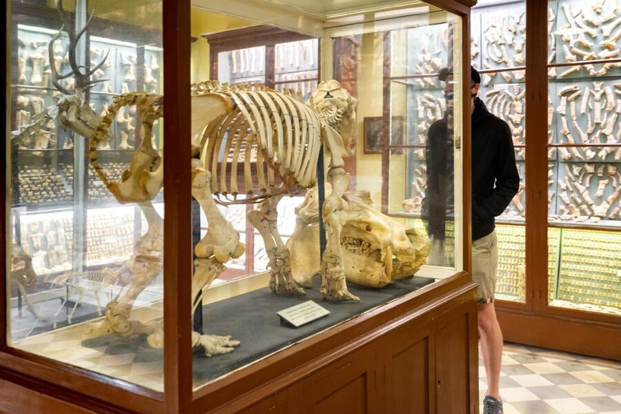 Prehistoric Temples of Malta Tour - FAQ