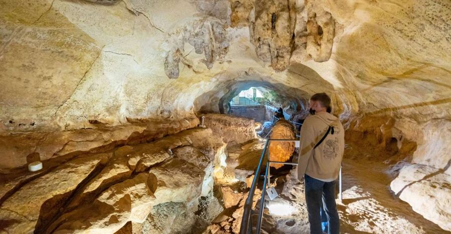 Prehistoric Temples of Malta Tour - Why Malta’s megalthic temples feel like a time machine