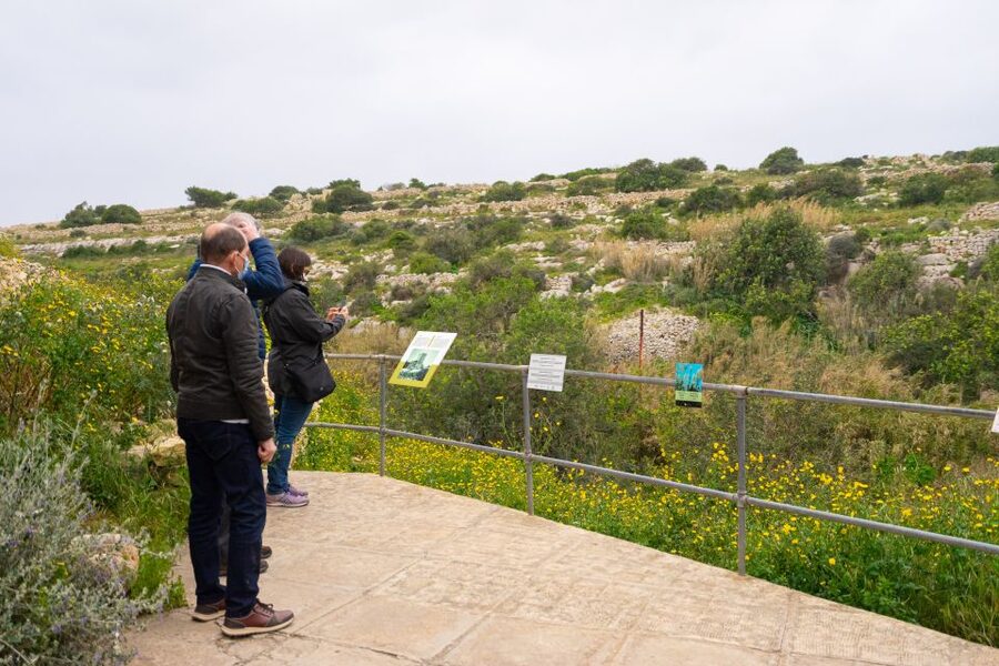 Prehistoric Temples of Malta Tour - Price, guide quality, and what to watch for with transport