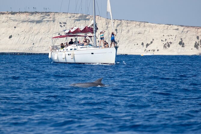 Private Marine Life Spotting - Dolphin watching EcoMarine Malta - Key highlights that matter