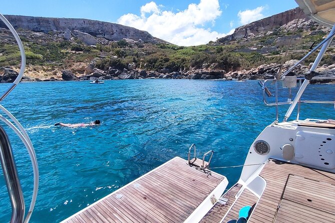 Private Marine Life Spotting - Dolphin watching EcoMarine Malta - EcoMarine Malta’s private dolphin watching: what you’re really buying