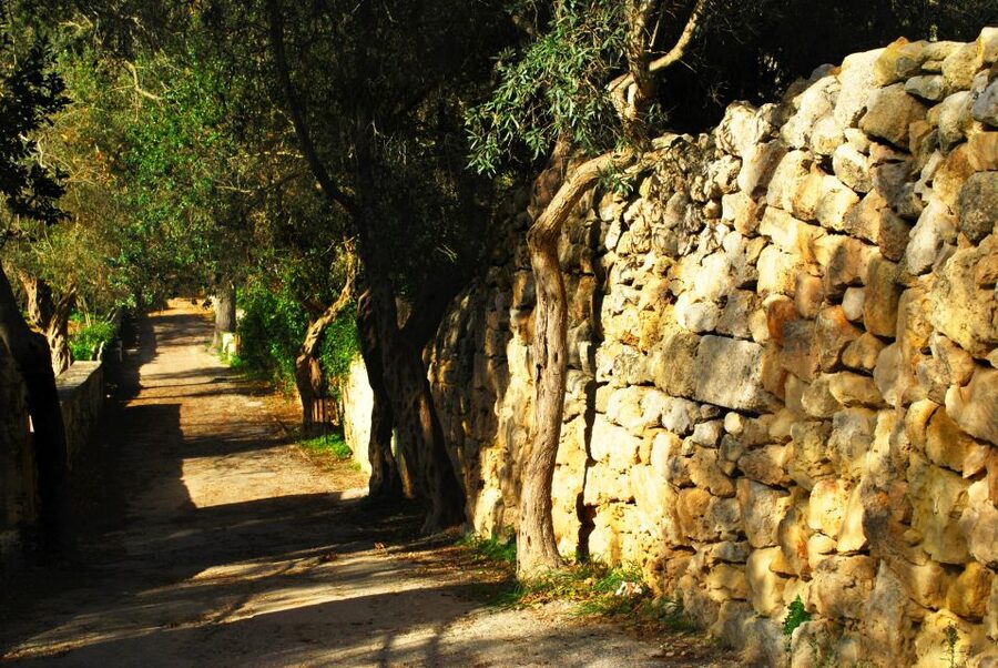 Scenic Tour by Vintage Bus to Buskett Garden & Dingli Cliffs - Dingli Cliffs: Malta’s highest point plus the chapel on the rocks