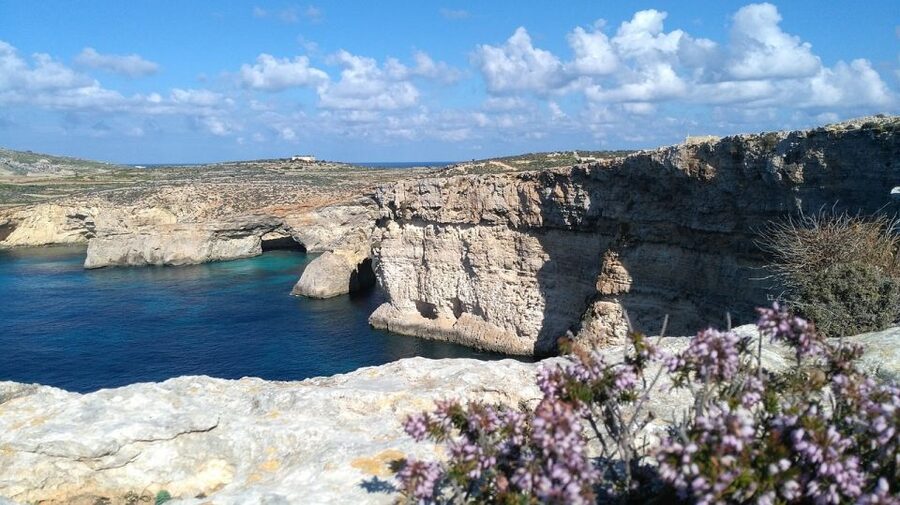 Shore Excursion Tour - Half Day - Malta National Aquarium and Qawra Area: A Coastal Detour You Choose to Enter