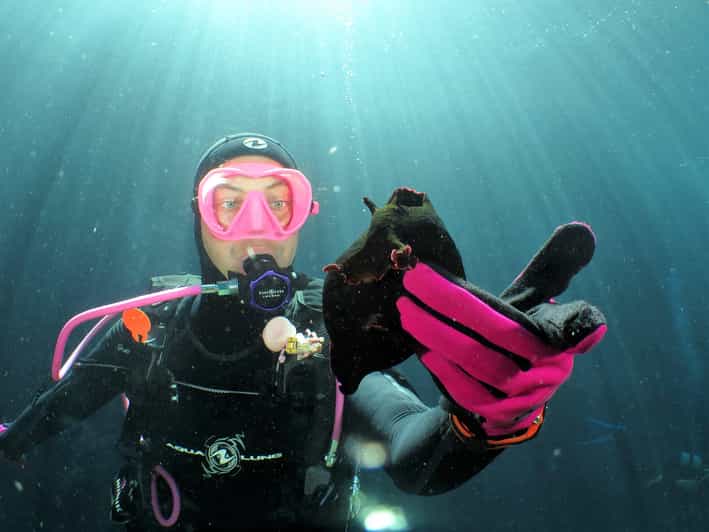 SSI Try Scuba Diving in the sea - Key things I’d watch before you book