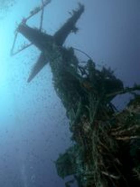 St Julians: Discover Scuba Diving Experience - Where You Meet Divewise at the Westin Dragonara Resort