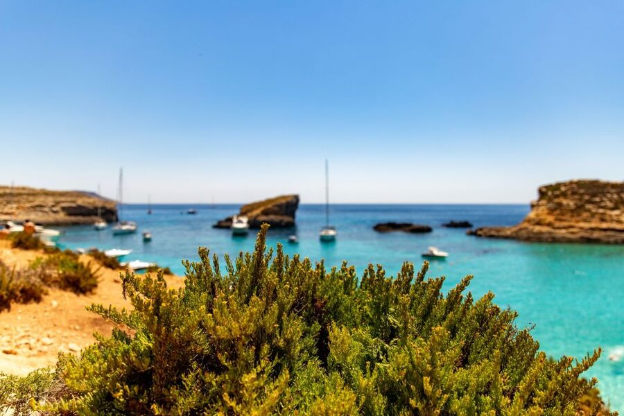 St Paul's Bay: Comino, Blue Lagoon, Gozo, & Caves Boat Tour - Gozo in two hours: how to make it feel worth the trip