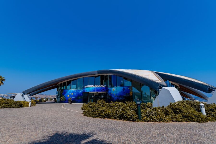 St Paul's Bay: Malta National Aquarium Entry Ticket - Key Things You’ll Notice Right Away